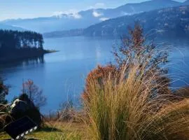 Moon Lake Bicaz - Aurora Garden