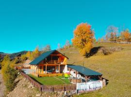 Cabana de sub mesteceni, hotel in Mătişeşti