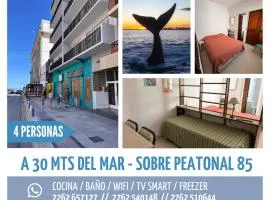 Departamento peatonal 85