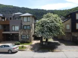 Paimun 2 - Andarlibre