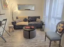 Le Cocon madonna T2 400 m du sanctuaire de Lourdes