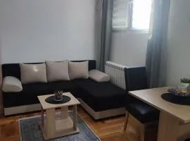 Altina Gottfried Studio