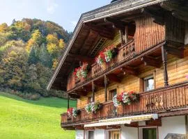 Tiroler Bergtraum Top 2