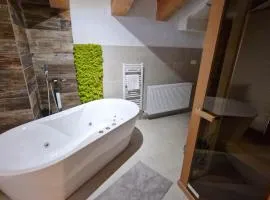 Jasna Chalet - Chopok view