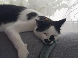 Private Paradise, hotel in Herford