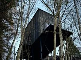 M Cabin Tree house Predeal Ciubar