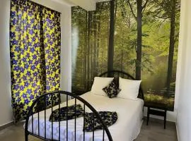 une chambre dépaysante