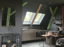 LE MOULIN Duplex proche aéroport, hotel i Duppigheim