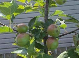 Cherry Berry Niagara Falls, alojamiento con cocina en Cataratas del Ni&aacute;gara
