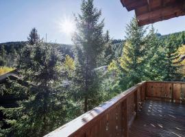 Chalet savoyard près des pistes, 13 personnes, Parking, Wifi - FR-1-568-59, hotel i La Tania