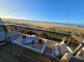 Studio rénové vue mer, animaux acceptés - FR-1-777-40