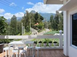 Pulmo Guesthouse Bromo