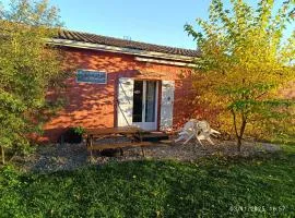 Maison Datcha Gîte familial avec jardin et piscine privée près de Toulouse