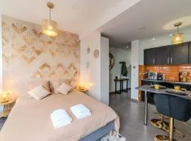 Studio Caucase - Centre-ville Saint Étienne proximité parking