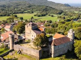 Château de Rosay - view & gardens