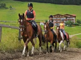 Apartments in Flachau - Salzburger Land 35292