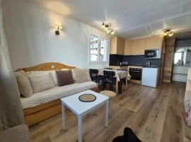 RPP A119 ski au pied appartement 6pers