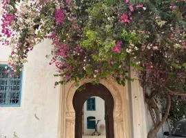 Maison de hôtes Dar Temna à Djerba Hood