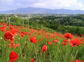 Holiday home Vukovoj, hotel in Klenovnik