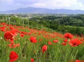 Holiday home Vukovoj