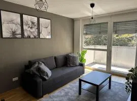 2BR, balcony, central, danube, U6 & S-Bahn - BRN 39