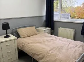 Bright Private Room with Parking & Garden Access