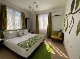 Rehobot MountainView-Hidden Rainforest Gem