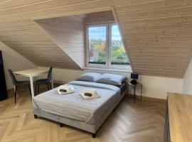 Przystanek Niesiołowice - na Kaszubach，位于Niesiołowice的酒店