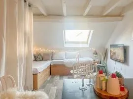 Litchi lovely loft with AC rue du Paquier
