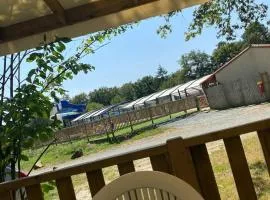 Bungalow "CONFORT" PUY duFOU 2CH-5pers 720FA