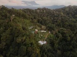 Finca Renacer - Jungle Lodges