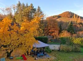Studio dans belle maison ancienne et jardin fermé