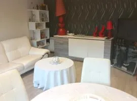 25 Rue Raymond Braillard