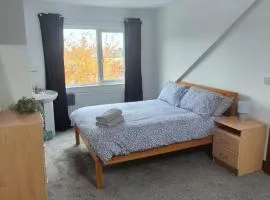 Private Room in Eglantine Avenue in Central Belfast