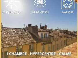 Les Toits d'Aix - Hyper center - Cours Mirabeau - Lumineux
