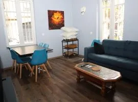 Charming app in Strasbourg near center, Neudorf