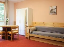 Apartment - ski slopes