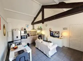 Appartement bord de Saône avec parking