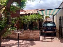 La casa de las flores