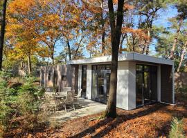 Natuurhuisje Hellendoorn, hotel in Haarle