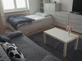 Flat Břeclav City Center, hotel in Břeclav