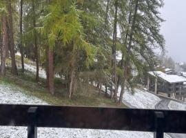 Les coches, Hotel in Montchavin