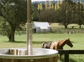 Bowral Farm Stay With Hot Tub & Horses