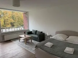 Modern Apartment with Excellent Transport Links to Hamburg