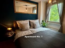 Ruhig & Terrasse Dresden-Altstadt 3-Zimmer Wohnungen