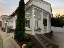 Royal Vila Negotin - Private Parking, Garden and Terrace