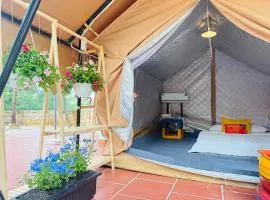 Khu Camping & Homestay Ven Biển