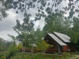 Seeing Green Udawalawa