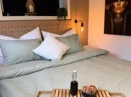 NEW! Northern Light apartment - Outdoor sauna - Free Parking - 750m from city centre