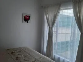 Sea shells self catering